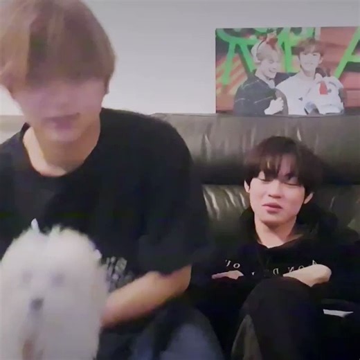 daegal being moved to chenle and still coming back to haechan 😭🥹