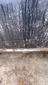 The 2014 Ram 1500 ecodiesel is still kicking. #ram #ram1500 #ramecodiesel #diesel #vermont #rockspowersports | Rock's Powersports