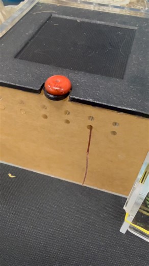 7 comments | Leaping Lizards Adventure on Reels | Facebook