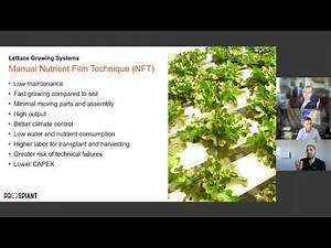 Commercial Greenhouse Lettuce Production 101