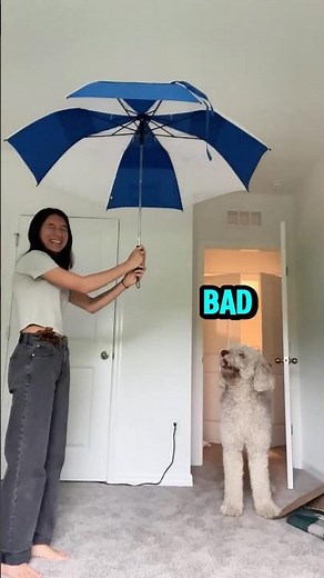 DoN'T OpEn ThAt UmBreLLa RaYchuLLah! ☂️😤