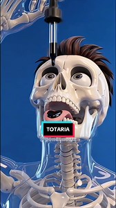 I recommend this to everyone! #totaria #lymphaticdrainage | lymphatic drainage