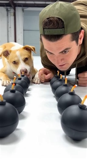 '' The Bomb Push Race'' | Bite Race Show