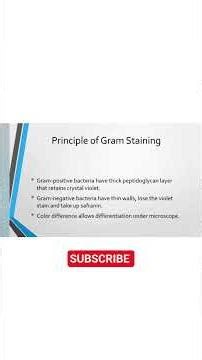 Gram Staining #biology #biotechnology #bacteria #food #youtubeshorts #youtube