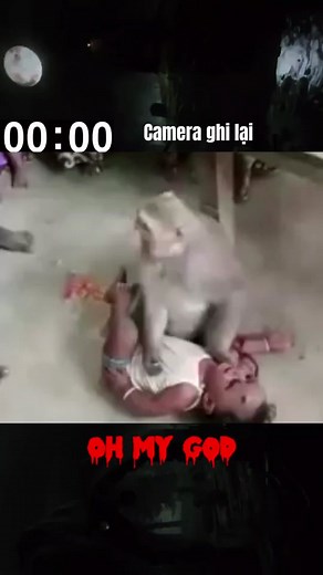 omg #chuyentamlinh #kinhdi #scary #ghost #ma #tamlinh #maquy #kenhkinhdi #horror #cctv