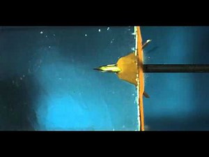 High Speed Video - Rage Broadhead