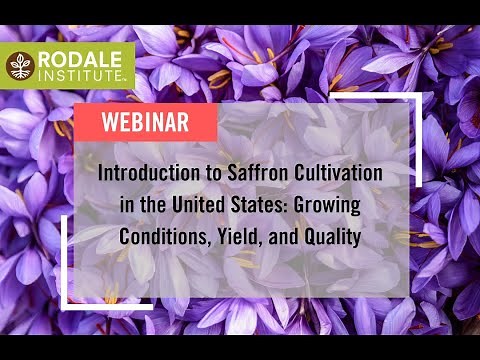 Webinar: Introduction to Saffron Cultivation in the United States—Growing Conditions, Yield, Quality