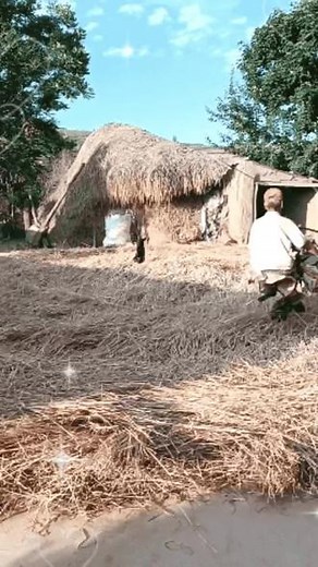 .com在抖音记录美好生活20221004