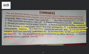 EXERCISE 9 The sentences below contain uncountable nouns. Make ... | Filo