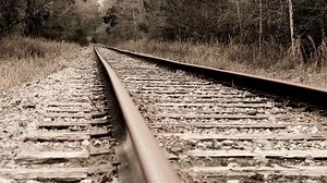 Cold Cases: Dominique Lewis | Hernando County Sheriff's Office