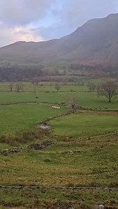 3 comments | As seen from my run along the Vale's Coffin Track this morning... #herding | Fornside Farm Cottages | Facebook