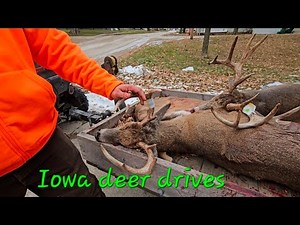 Iowa Deer DRIVES