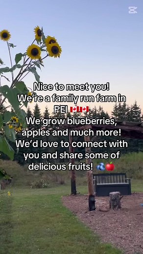 With everything going on in the world right now, let’s support local and support each other! We hope to see you this summer! #pei #supportlocal #farm #fyp #smallbusiness #foryou #explore #nature #canadian #fruit
