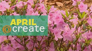 3.3K views · 62 reactions | April is on its way, and we can't wait to dig into new projects — in the garden, the kitchen, the garage, and beyond  Join us and greet spring with something creative! | Create TV | Facebook