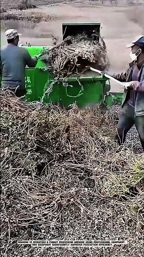 Peanut Processing Machine: Efficient Agriculture with Professional Equipment #AgriculturalInnovation