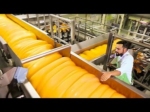 Cheese production process and interesting facts about it | LV Satisfying