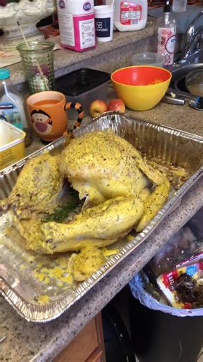 La Reyna del sur (@reynacaldero99gmail.com)’s videos with original sound - Oohmar88