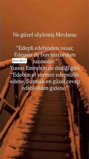 illa edep illa edep#shorts#video