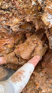 Massive Adularia Quartz Cluster Unearthed in Arkansas