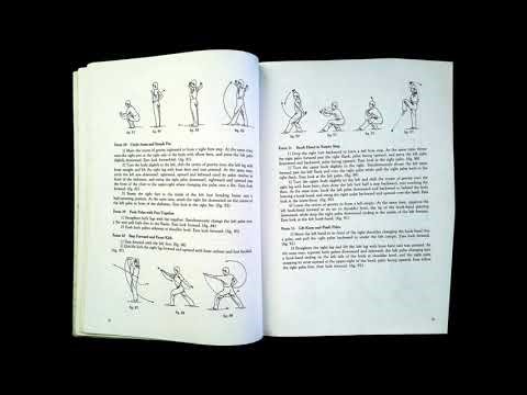 Chang Quan - Long Fist Competition Routine from 1989