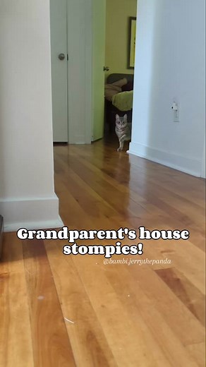 Bambi's Stomping Adventure: Road Trip Fun with Fur Grandkids