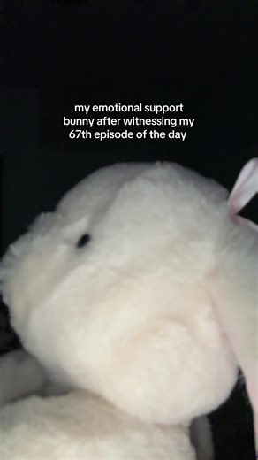 Meet Lola Bunny: My New Emotional Support Friends