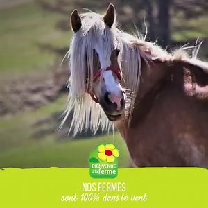 48K views · 76 reactions | Place au Printemps à la ferme, la nature se réveille ! Vivez une expérience unique chez les producteurs de votre région et découvrez les merveilles du monde agricole.  Réservez votre activité à la ferme !  | Bienvenue à la ferme France | Facebook