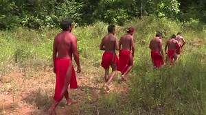145K views · 761 reactions | Pour les Indiens Waiapi, la forêt amazonienne est leur supermarché | BFMTV | Facebook