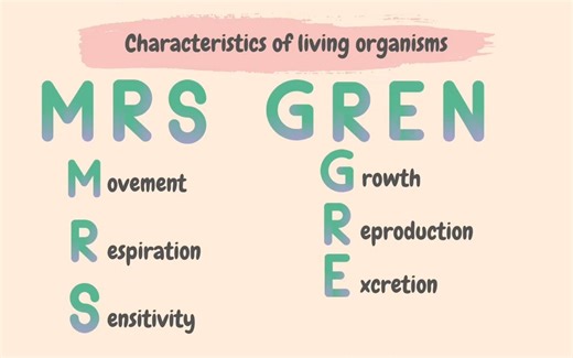 01. Characteristics & classification of living organisms