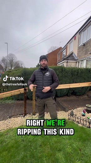 A Day in the Life of a Tree Surgeon: Conifer and Tree Work