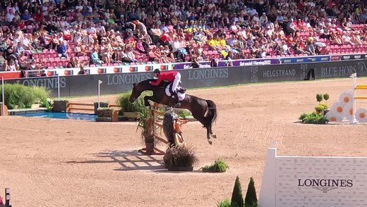 83K views · 2.9K reactions | ✨For the USA: Brian Moggre and Oldenburger Pferdezuchtverband bred top stallion Balou du Reventon, https://www.horsetelex.com/horses/pedigree/621460/balou-du-reventon in a beautiful 1st round of the ECCO FEI World Championships 2022 (83.89). One of the many  stallions bred by Gestüt Lewitz/Paul Schockemöhle 朗 | Horsetelex | Facebook