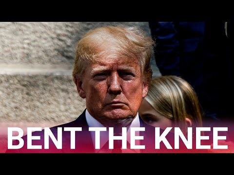 Seven nations bend the knee to Trump, agree to help the US secure the Strait of Hormuz