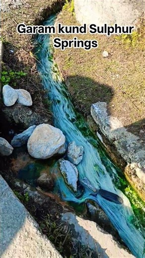 Garam Kund Sulphur Springs ♨️ #spring #garamkund #nature #naturelovers