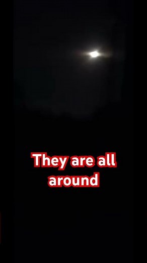 Caught Outside When the Coyotes Started Howling at the Full Moon