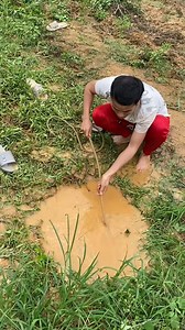 1.5M views · 7.8K reactions | Trốn đâu mất rồi | Dòng Thời Gian | Facebook