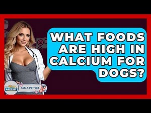What Foods Are High In Calcium For Dogs? - Ask A Pet Vet