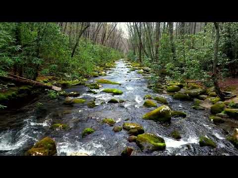 River Sounds for Sleep | Oconaluftee River, Smoky Mountains | 8 Hours