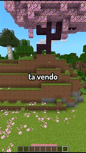 Carrossel no Minecraft: Dicas e Instruções Abrangentes