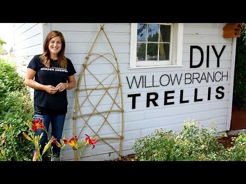 DIY Willow Branch Trellis (Full Version) // Garden Answer