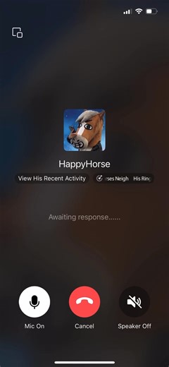 Not all ringtones are equal. My BFF Happy Horse gets a neigh-neigh ringtone. 🐴📞 Set up your own for your BFF: 👉 Me → “Settings” →“Notifications” →“Incoming Call Ringtones” →“Assign exclusive ringtones for friends” #Weixin #WeChat #Ringtone | WeChat