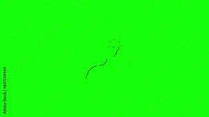 Light bulb check mark idea icon with people icon animation on greenscreen background. light bulb, check mark, idea, icon, people, greenscreen background, concept, creativity, innovation,