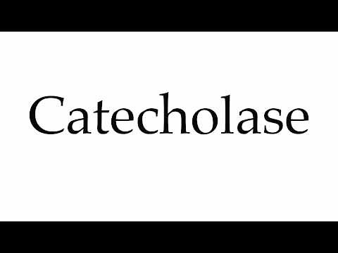 How to Pronounce Catecholase