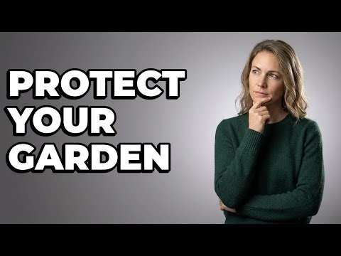 Why Should I Put A Protective Mulch Layer On Gardens?