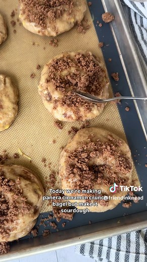 Sourdough Cinnamon Crunch Bagels Recipe - Celebrate National Bagel Day