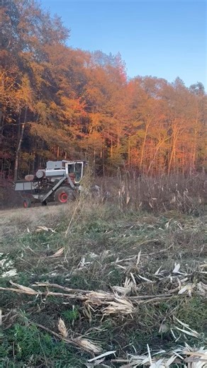 Sam Robertson on Reels