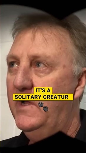 Peter griffen: Why Peter McIndoe Changed How We See the Sky 🦅👀 #BirdsArentReal #PeterMcIndoe