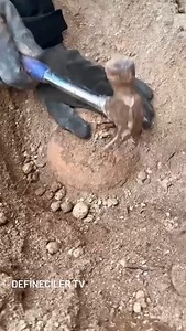 1.6K views · 3.5K reactions | Wowww 螺 #dedektör #define #pointer #para #coin #treasure #tılsım #arkeoloji_turkey #ancienmosaic #altın #mitolo #mitoloji #büyü #define #hazine #arkeoloji_turkey #altın #treasure #treasure #tılsım #zenginlik #كنز #hobi #ancienmosaic | Umut Kavruk | Facebook