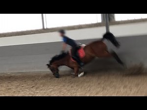 Reiter stürzt mit ECVM Pferd