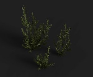 ArtStation - Forest Bush | Game Assets