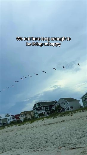 tuesday taylor on TikTok